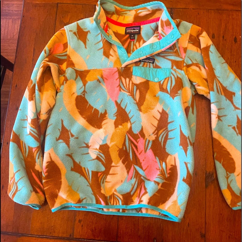 Patagonia Synchilla Fleece
